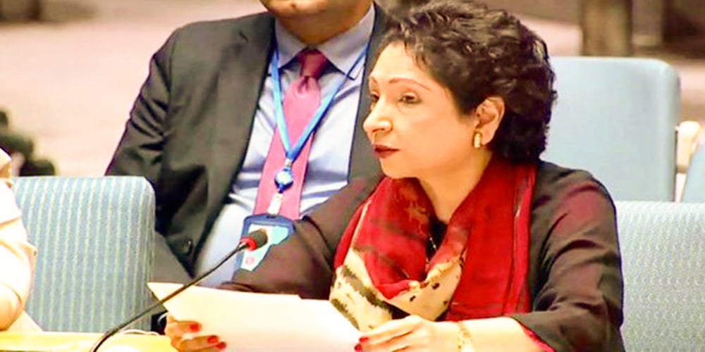 Maliha Lodhi talk