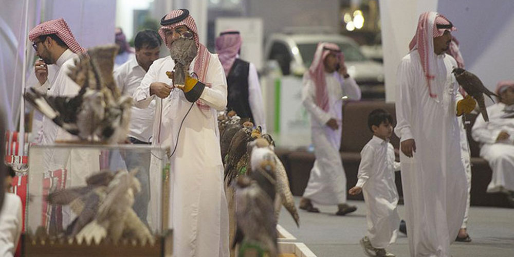 Saudi falcons and hunting show set to soar