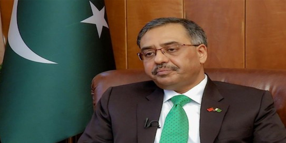 سہیل محمود