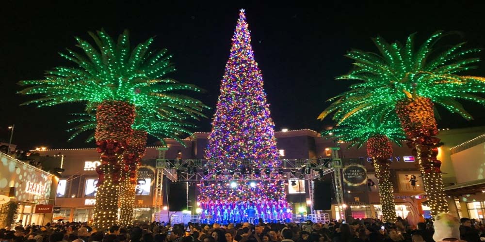 California Tree