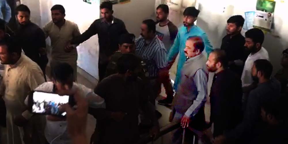 Rana Sana