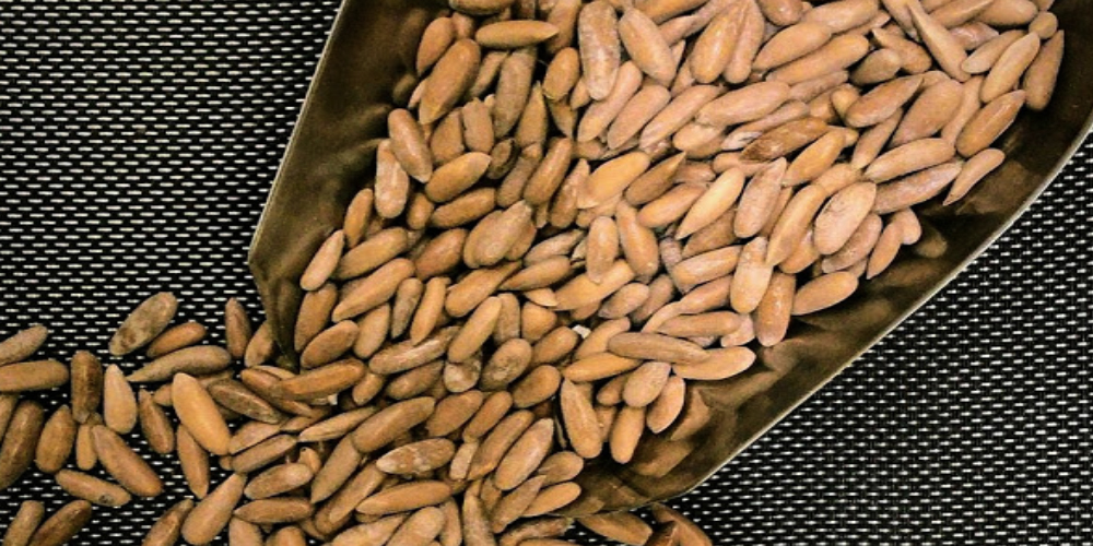 Dry Fruit Theft
