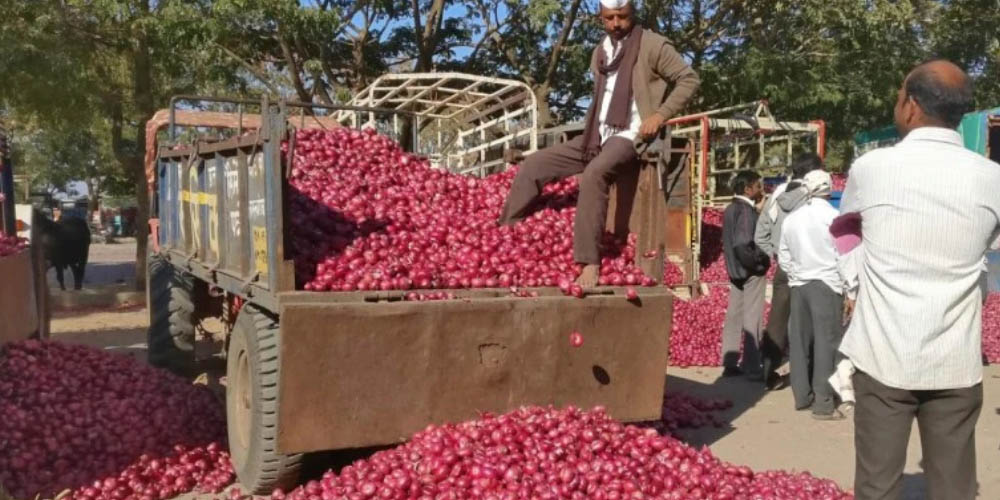 پیاز