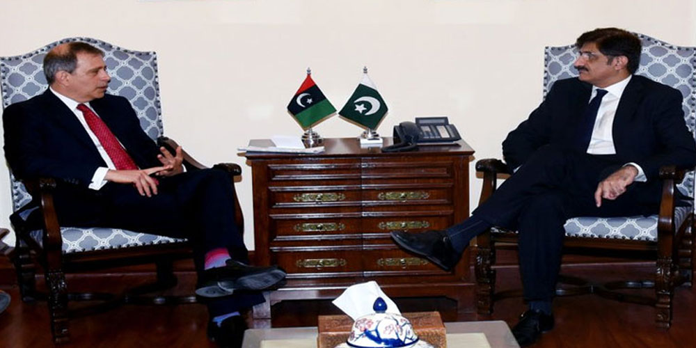 ہم ملک کو لوڈشیڈنگ کے اندھیروں سے پاک کردیں گے، مراد علی شاہ