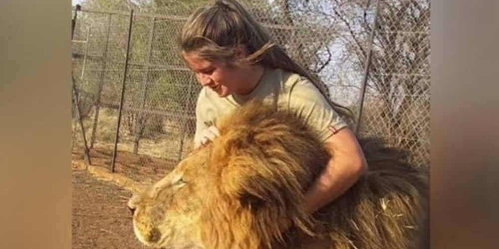 شیروں کی دیکھ بھال پر مامور لڑکی، شیر کے حملے میں ہلاک