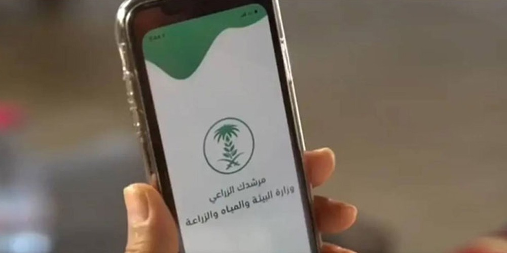 سعودی حکومت