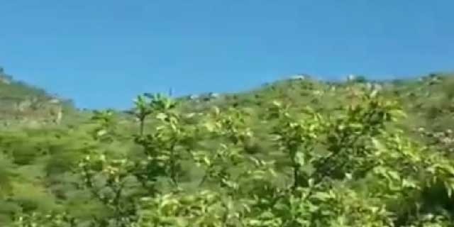 مارگلہ