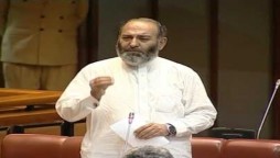 Senator-Mushtaq