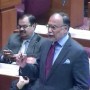 ahsan iqbal