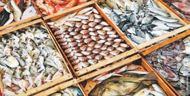 کورنگی فش ہاربر