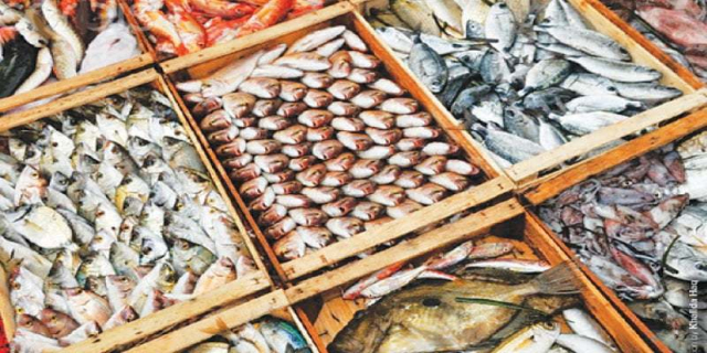 کورنگی فش ہاربر