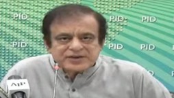 شبلی