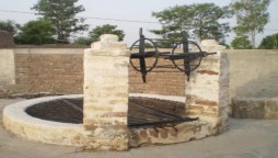 لیویز