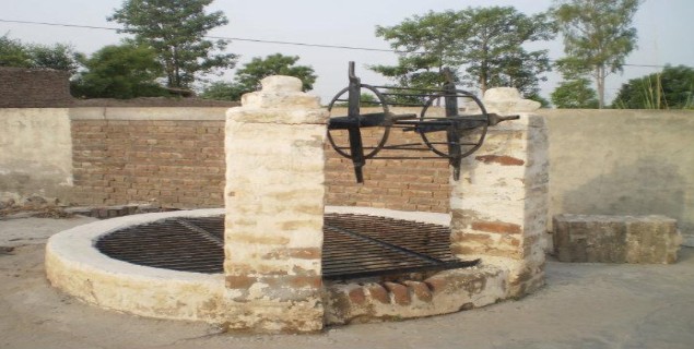 لیویز