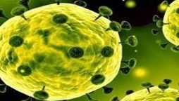 ایس ایچ اوز