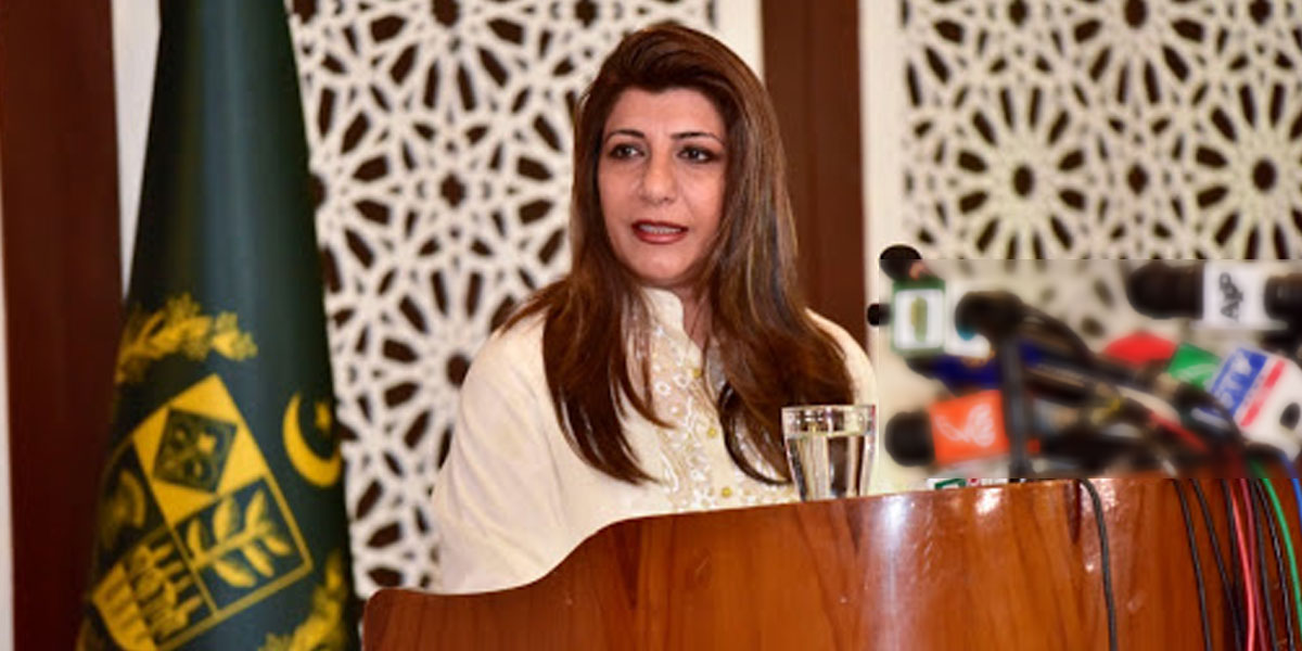 دہشتگردی