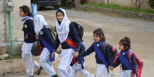 اسکولز