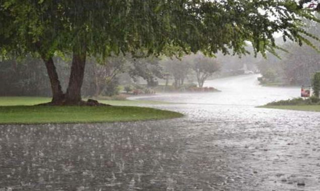 rain