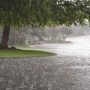 rain