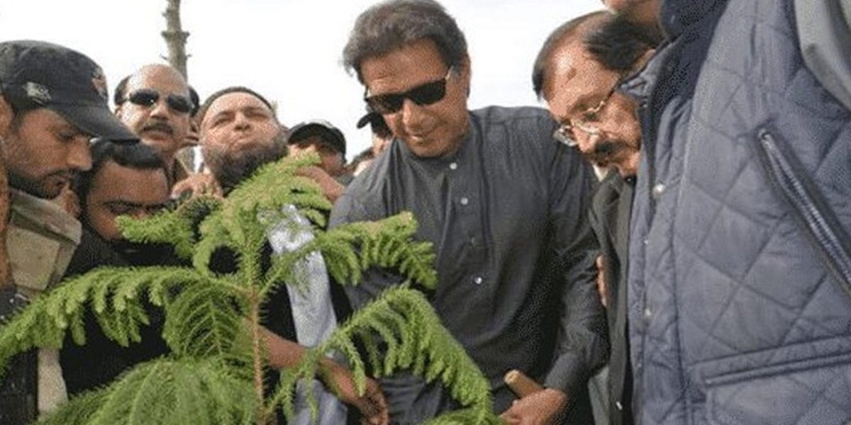 وزیراعظم عمران