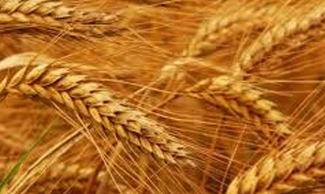 آٹے کی قیمت