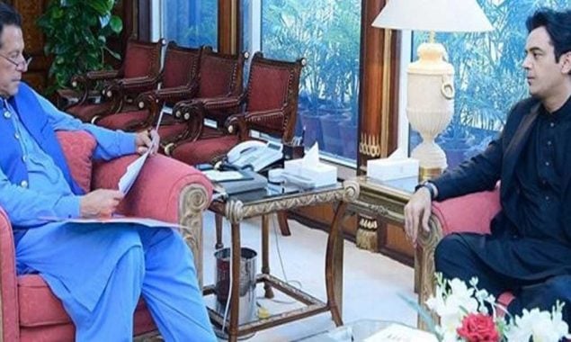 ٹائیگر فورس