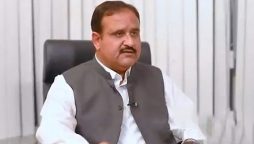 مویشی منڈیوں