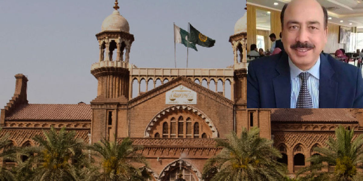 جج ارشد ملک