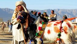 عید تعطیلات