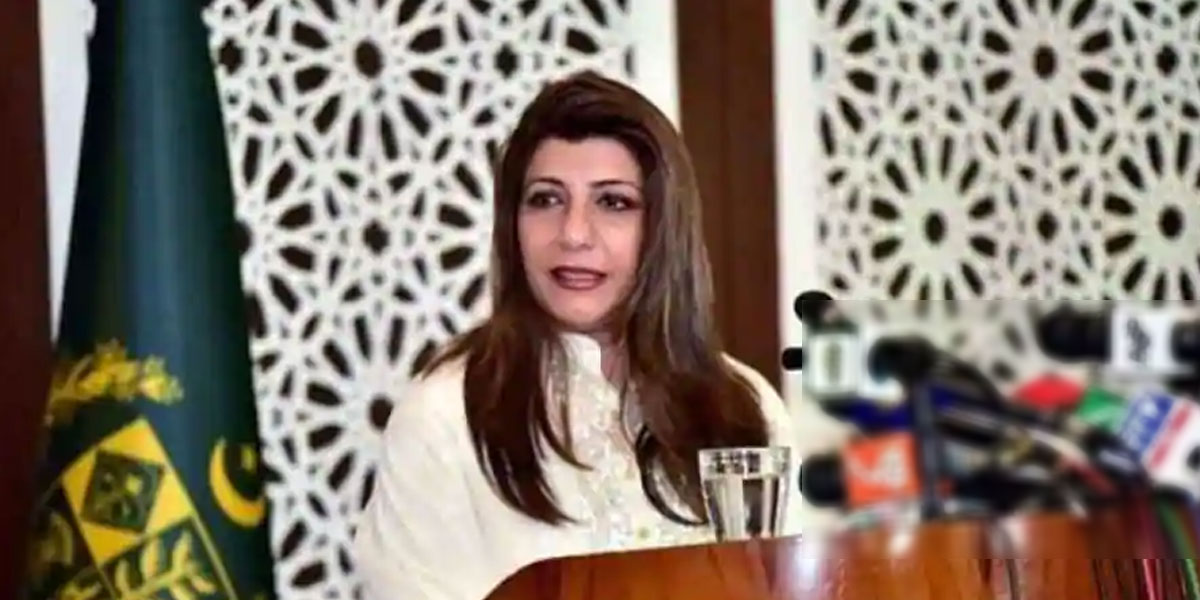 ترجمان دفترخارجہ