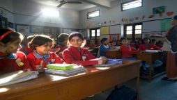 school