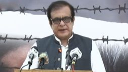شبلی فراز