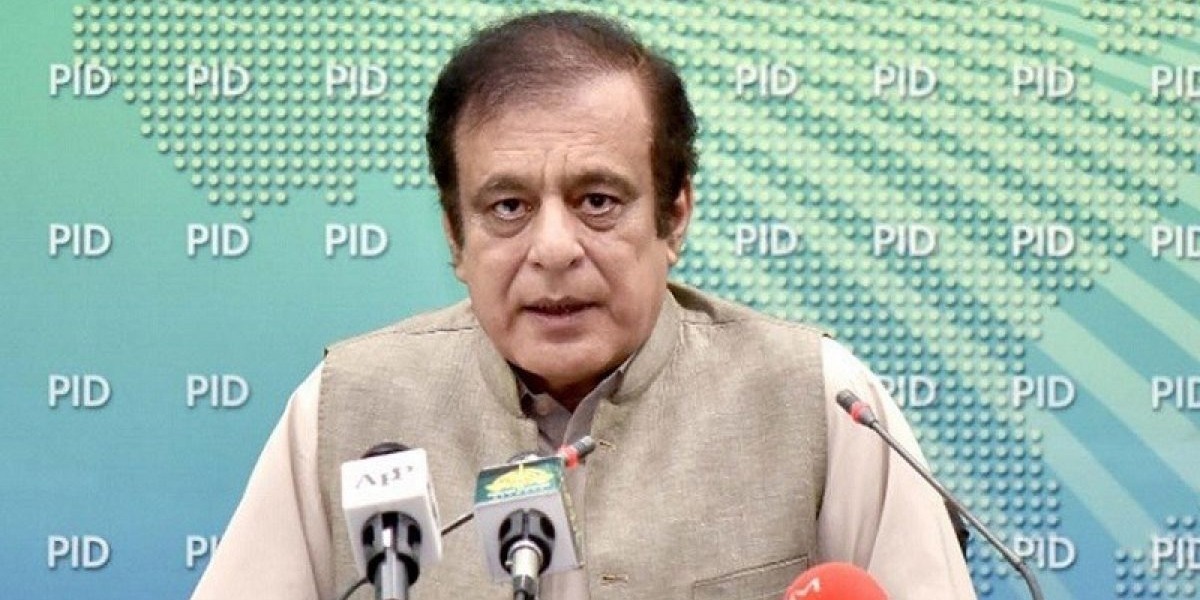 شبلی فراز