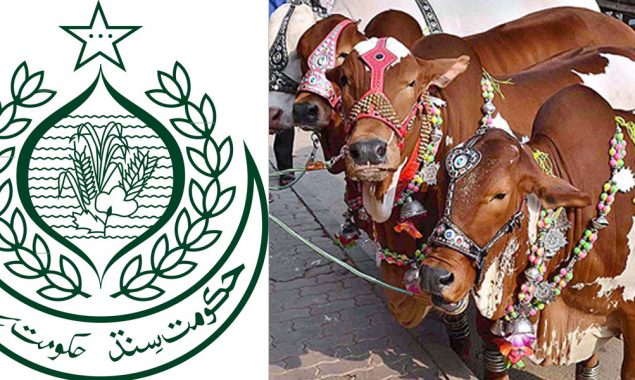 عیدالاضحیٰ