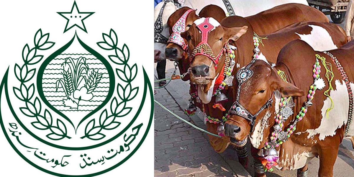 عیدالاضحیٰ
