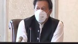 چینی