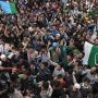 kashmir