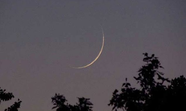 عید الاضحیٰ