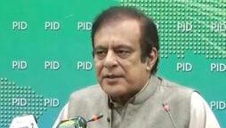 شبلی فراز