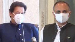 پاور سیکٹر