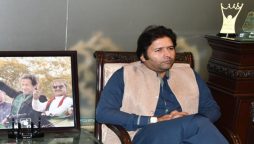 علی شیروانی