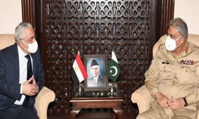 مصر کے سفیر