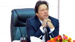 PMLN and PPP are the parties of establishment, PM IK