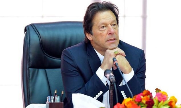 PMLN and PPP are the parties of establishment, PM IK