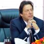 PMLN and PPP are the parties of establishment, PM IK