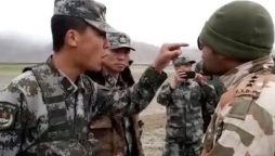 چین اور بھارتی افواج