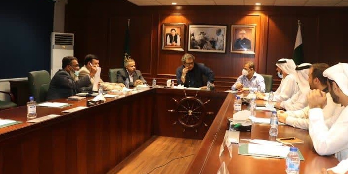 سرمایہ کاری