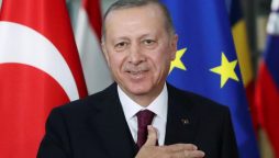 تعلقات معطل