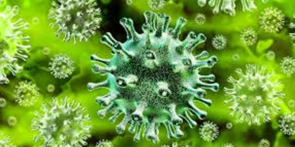 بھارت میں اسکول کھولنے کا اعلان کردیا