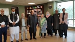 شمیم نقوی